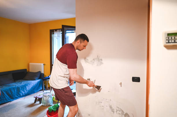 Mold Removal Process in Sumrall, MS