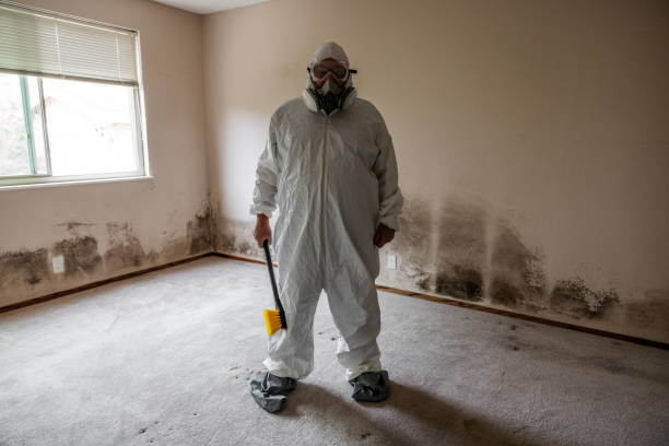 Water Damage Restoration in Sumrall, MS
